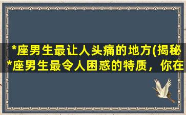 *座男生最让人头痛的地方(揭秘*座男生最令人困惑的特质，你在感情中该如何应对？)