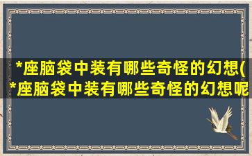 *座脑袋中装有哪些奇怪的幻想(*座脑袋中装有哪些奇怪的幻想呢）