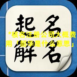 *核名注册公司大概费用「韶华是什么意思」