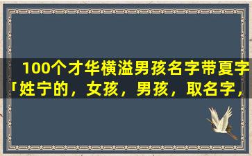 100个才华横溢男孩名字带夏字「姓宁的，女孩，男孩，取名字，三个字的，帮帮想想，谢谢大家了，么么哒」