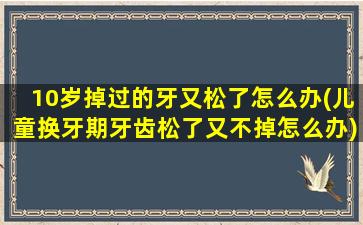 10岁掉过的牙又松了怎么办(儿童换牙期牙齿松了又不掉怎么办)