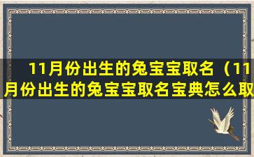 11月份出生的兔宝宝取名（11月份出生的兔宝宝取名宝典怎么取）