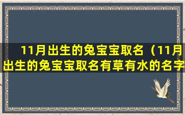 11月出生的兔宝宝取名（11月出生的兔宝宝取名有草有水的名字）