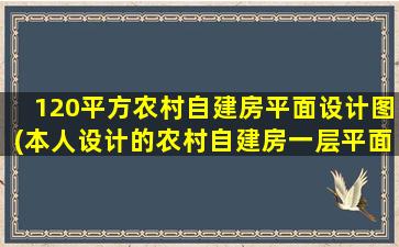 120平方农村自建房平面设计图(本人设计的农村自建房一层平面图是否合理)