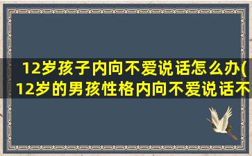 12岁孩子内向不爱说话怎么办(12岁的男孩性格内向不爱说话不爱交谈)