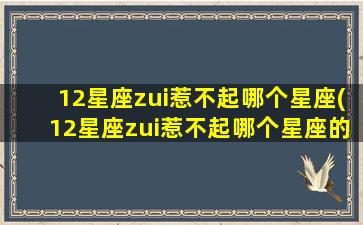 12星座zui惹不起哪个星座(12星座zui惹不起哪个星座的人）