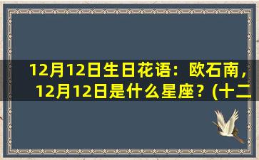 12月12日生日花语：欧石南，12月12日是什么星座？(十二月12日生日是什么星座）