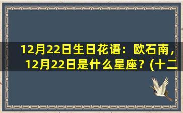 12月22日生日花语：欧石南，12月22日是什么星座？(十二月22日生日是什么星座）