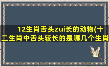 12生肖舌头zui长的动物(十二生肖中舌头较长的是哪几个生肖)