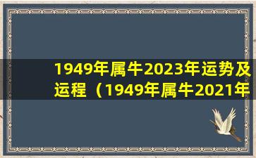 1949年属牛2023年运势及运程（1949年属牛2021年运势及运程每月运程）