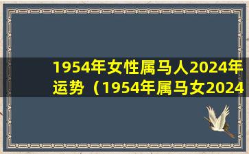 1954年女性属马人2024年运势（1954年属马女2024年运势及运程）