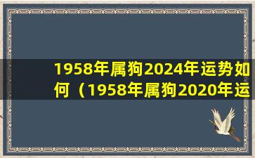 1958年属狗2024年运势如何（1958年属狗2020年运势及运程每月运程）