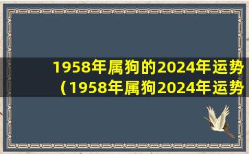 1958年属狗的2024年运势（1958年属狗2024年运势及运程详解）