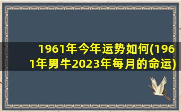 1961年今年运势如何(1961年男牛2023年每月的命运)