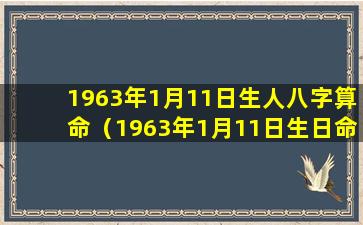 1963年1月11日生人八字算命（1963年1月11日生日命运如何）