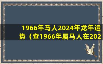 1966年马人2024年龙年运势（查1966年属马人在2024的运气）