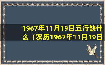 1967年11月19日五行缺什么（农历1967年11月19日是公历几月几日）