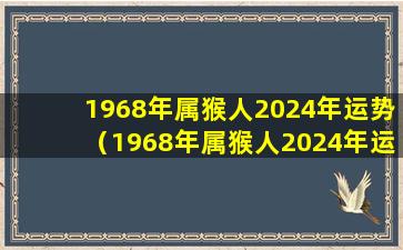 1968年属猴人2024年运势（1968年属猴人2024年运势及运程-属猴-国学梦）