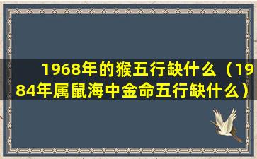 1968年的猴五行缺什么（1984年属鼠海中金命五行缺什么）