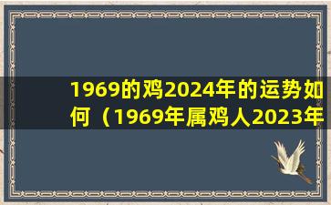 1969的鸡2024年的运势如何（1969年属鸡人2023年运势运程每月运程）