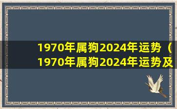 1970年属狗2024年运势（1970年属狗2024年运势及每个月运程男性婚姻）