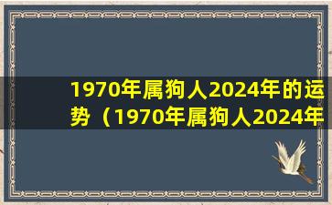 1970年属狗人2024年的运势（1970年属狗人2024年运势及运程大家都找算命网）