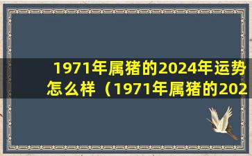 1971年属猪的2024年运势怎么样（1971年属猪的2024年运势怎么样易安居）