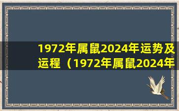 1972年属鼠2024年运势及运程（1972年属鼠2024年运势及运程女性di一星座）