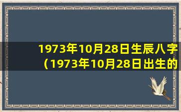 1973年10月28日生辰八字（1973年10月28日出生的人的命运）