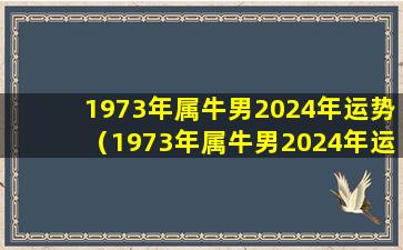 1973年属牛男2024年运势（1973年属牛男2024年运势及运程每月运程男）