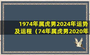 1974年属虎男2024年运势及运程（74年属虎男2020年运势及运程每月运程五月运气）