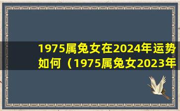 1975属兔女在2024年运势如何（1975属兔女2023年每月运势及运程）