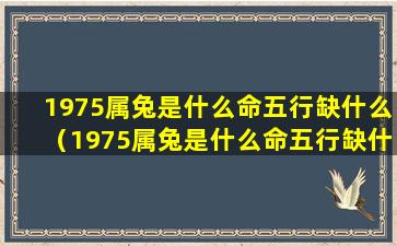 1975属兔是什么命五行缺什么（1975属兔是什么命五行缺什么属性）