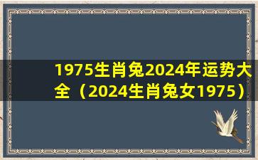 1975生肖兔2024年运势大全（2024生肖兔女1975）