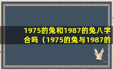 1975的兔和1987的兔八字合吗（1975的兔与1987的兔结婚幸福吗）