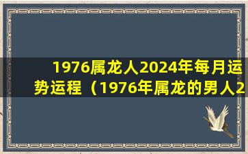 1976属龙人2024年每月运势运程（1976年属龙的男人2024年的运势及运程如何）