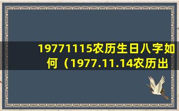 19771115农历生日八字如何（1977.11.14农历出生的蛇命运）