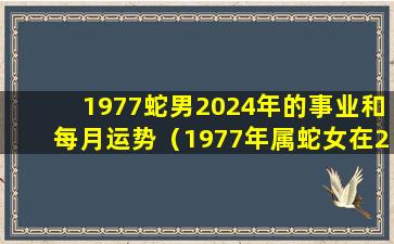 1977蛇男2024年的事业和每月运势（1977年属蛇女在2024年运程和运势）