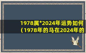 1978属*2024年运势如何（1978年的马在2024年的运势怎么样）