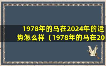 1978年的马在2024年的运势怎么样（1978年的马在2024年的运势怎么样红红火火）