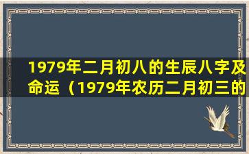 1979年二月初八的生辰八字及命运（1979年农历二月初三的生辰八字是什么）