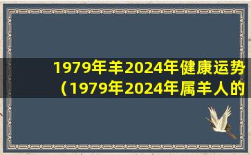 1979年羊2024年健康运势（1979年2024年属羊人的全年运势）