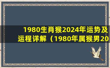 1980生肖猴2024年运势及运程详解（1980年属猴男2024年运势及运程每月运程）