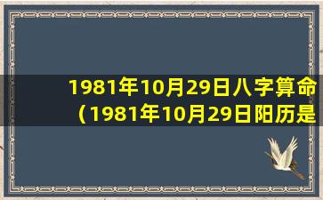 1981年10月29日八字算命（1981年10月29日阳历是什么星座）