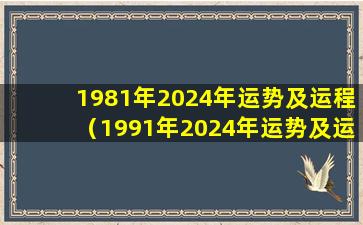 1981年2024年运势及运程（1991年2024年运势及运程每月运程）