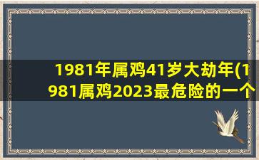 1981年属鸡41岁大劫年(1981属鸡2023最危险的一个月)