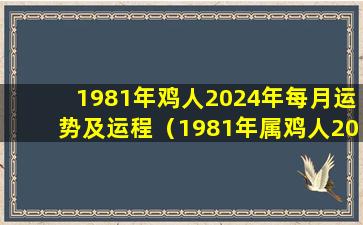 1981年鸡人2024年每月运势及运程（1981年属鸡人2023年运势及运程男）