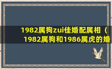 1982属狗zui佳婚配属相（1982属狗和1986属虎的婚配）