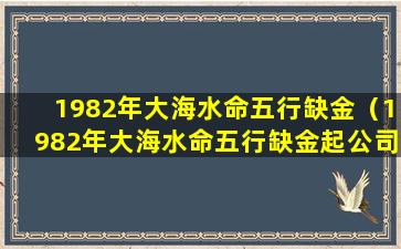 1982年大海水命五行缺金（1982年大海水命五行缺金起公司名）