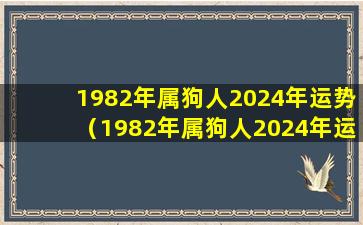 1982年属狗人2024年运势（1982年属狗人2024年运势女性di一运势网）